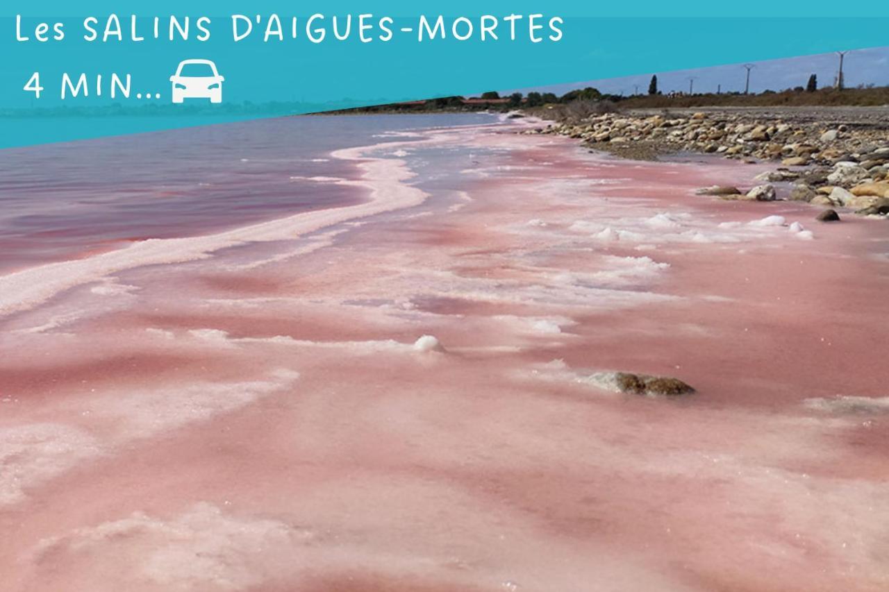 Le Flamant Rose - Cosykaz Lejlighed Aigues-Mortes Eksteriør billede